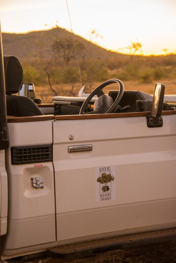 Rockfig Lodge Madikwe Madikwe Game Reserve Extérieur photo